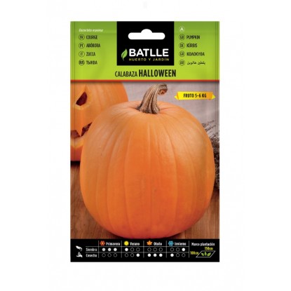 CALABAZA HALLOWEEN