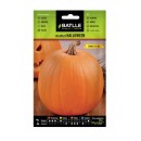 CALABAZA HALLOWEEN
