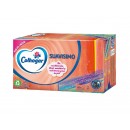 COLHOGAR FACIAL FAMILY PACK SUAVISIMO 140 UDS