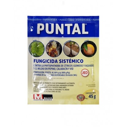 JED PUNTAL FOSETIL FUNGICIDA SISTEM SOBRE