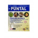 JED PUNTAL FOSETIL FUNGICIDA SISTEM SOBRE