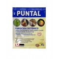 JED PUNTAL FOSETIL FUNGICIDA SISTEM SOBRE
