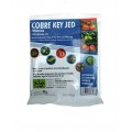JED COBRE KEY 50 GR (1 MOCHILA)