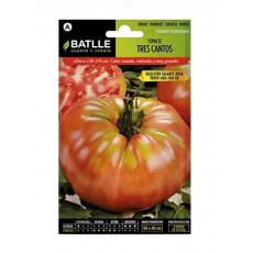 TOMATE TRES CANTOS GIGANTE ROSA