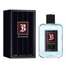 BRUMMEL MASAJE 250 ML